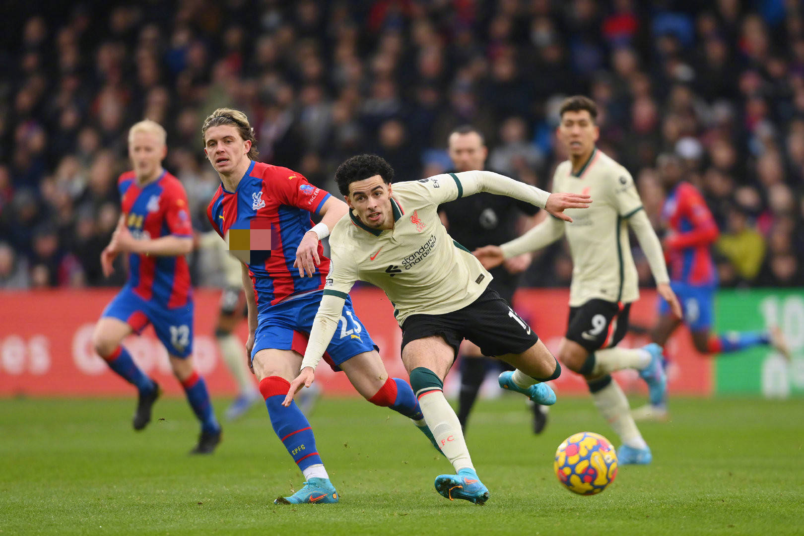 转播安排 转播安排